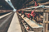 poultry-8.jpeg