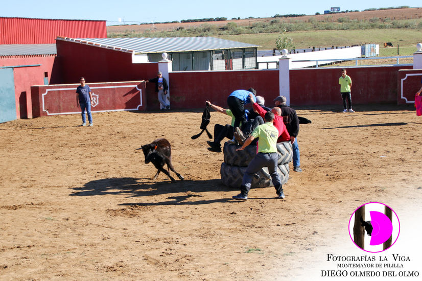 Excursión ACTE 2022 (25).jpg