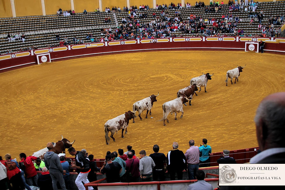 Cuellar2017 (2)