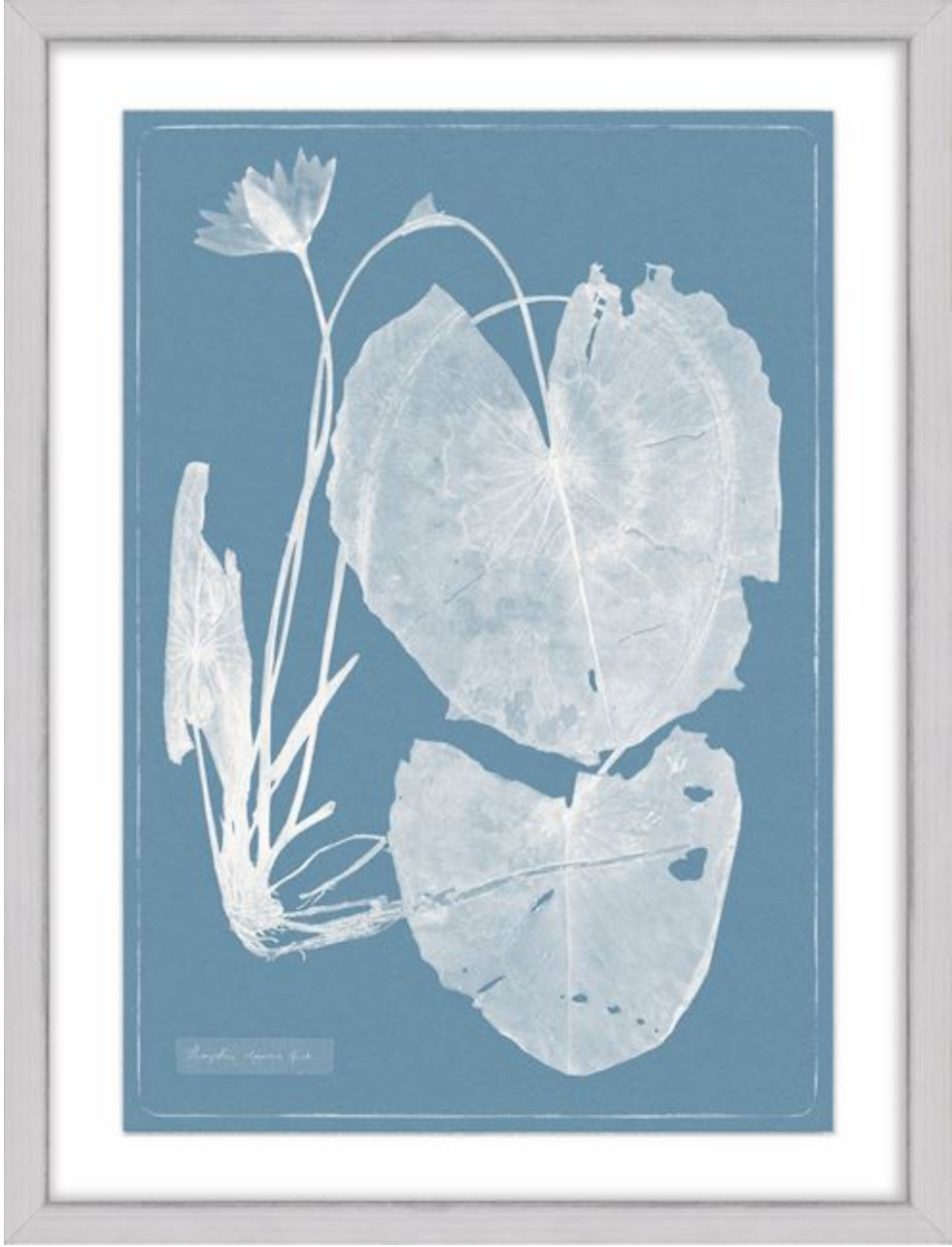 Thumbnail: Cyanotype Water Lilies