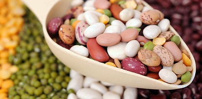 Beans and legumes (also proteins) eat vegons food swathya by kinjal_edited.jpg