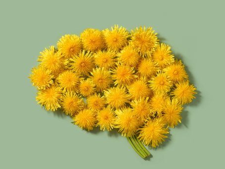 Tu cerebro está cambiando ahora mismo