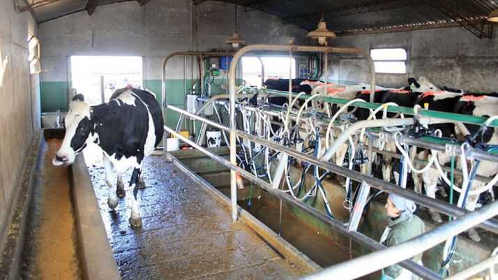 La provincia presentó una nueva línea de créditos para el sector lácteo