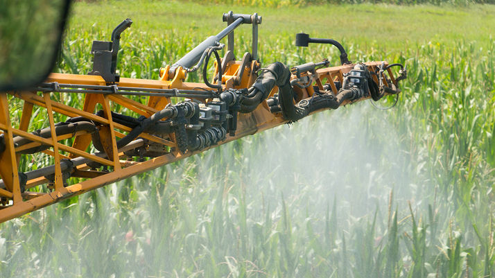 Resistencia a fungicidas ¿dónde estamos parados en nuestra agricultura?