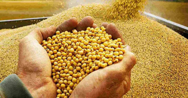 Menos dólares: la soja tocó precios mínimos en 9 meses y medio, por una menor demanda de China