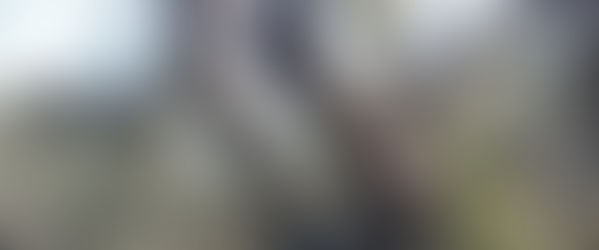 Ahora, el desmonte se puede denunciar bien rápido por Whatsapp