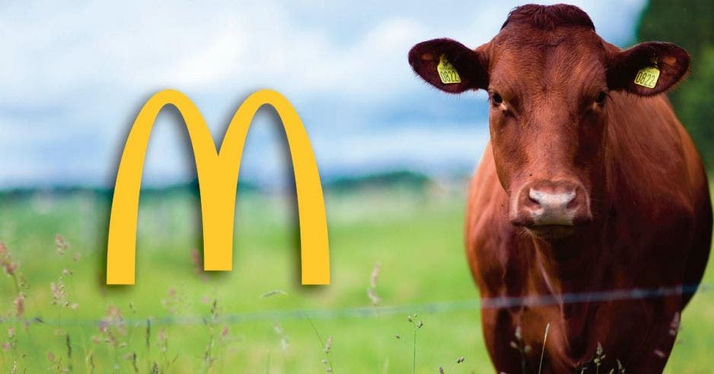 McDonald’s reducirá las emisiones en la carne de sus hamburguesas para 2050