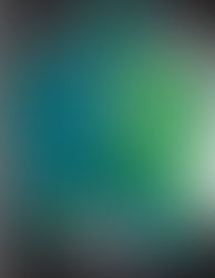 My Animation Studio Is Looking for Members