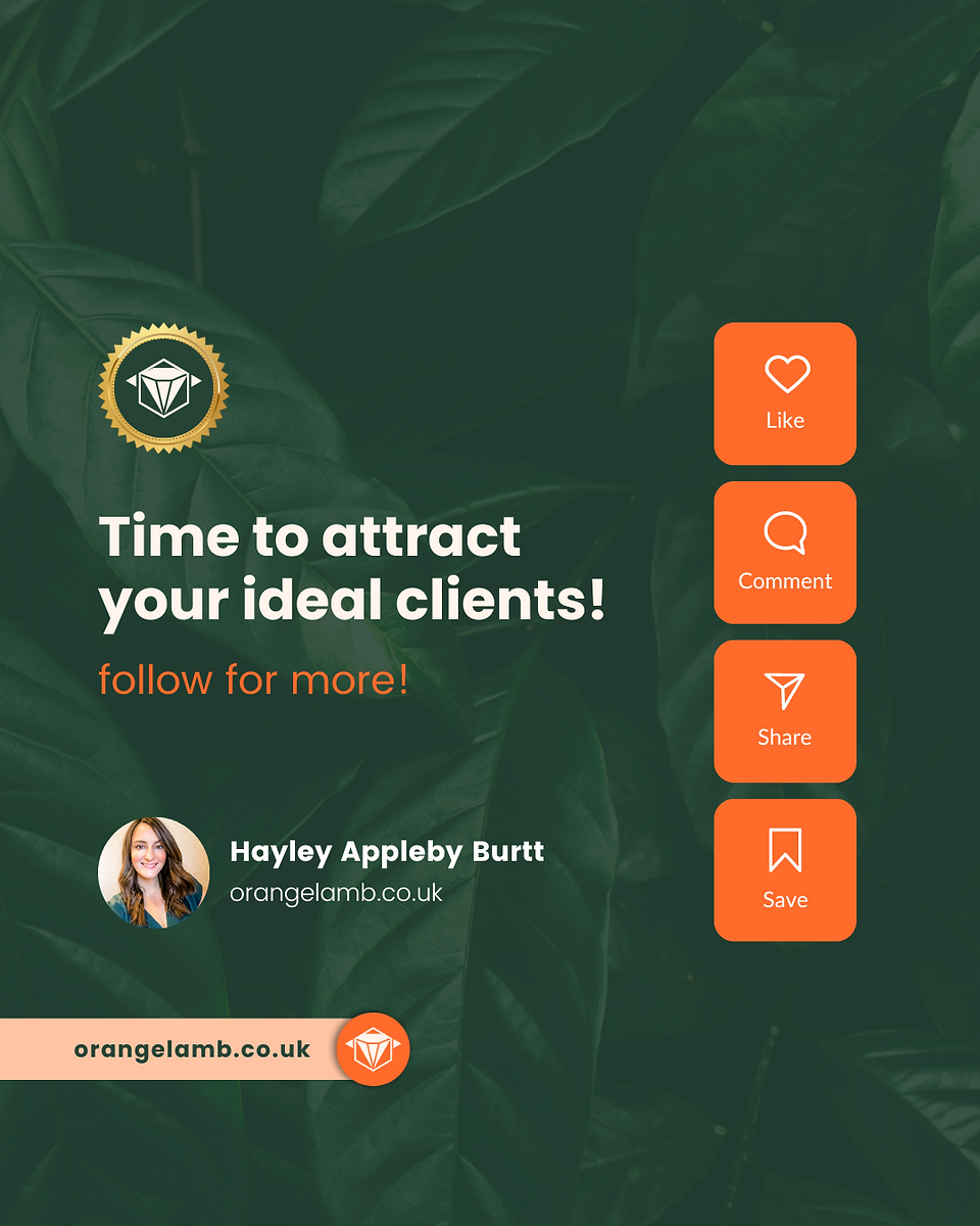 get in touch with orange lamb