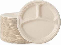 Thumbnail: Bagasse_3CP_Plate