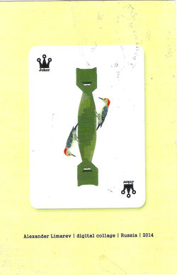 Alexander Limarev 2
