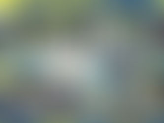 "Шаную Воїнів, біжу за Героїв України"