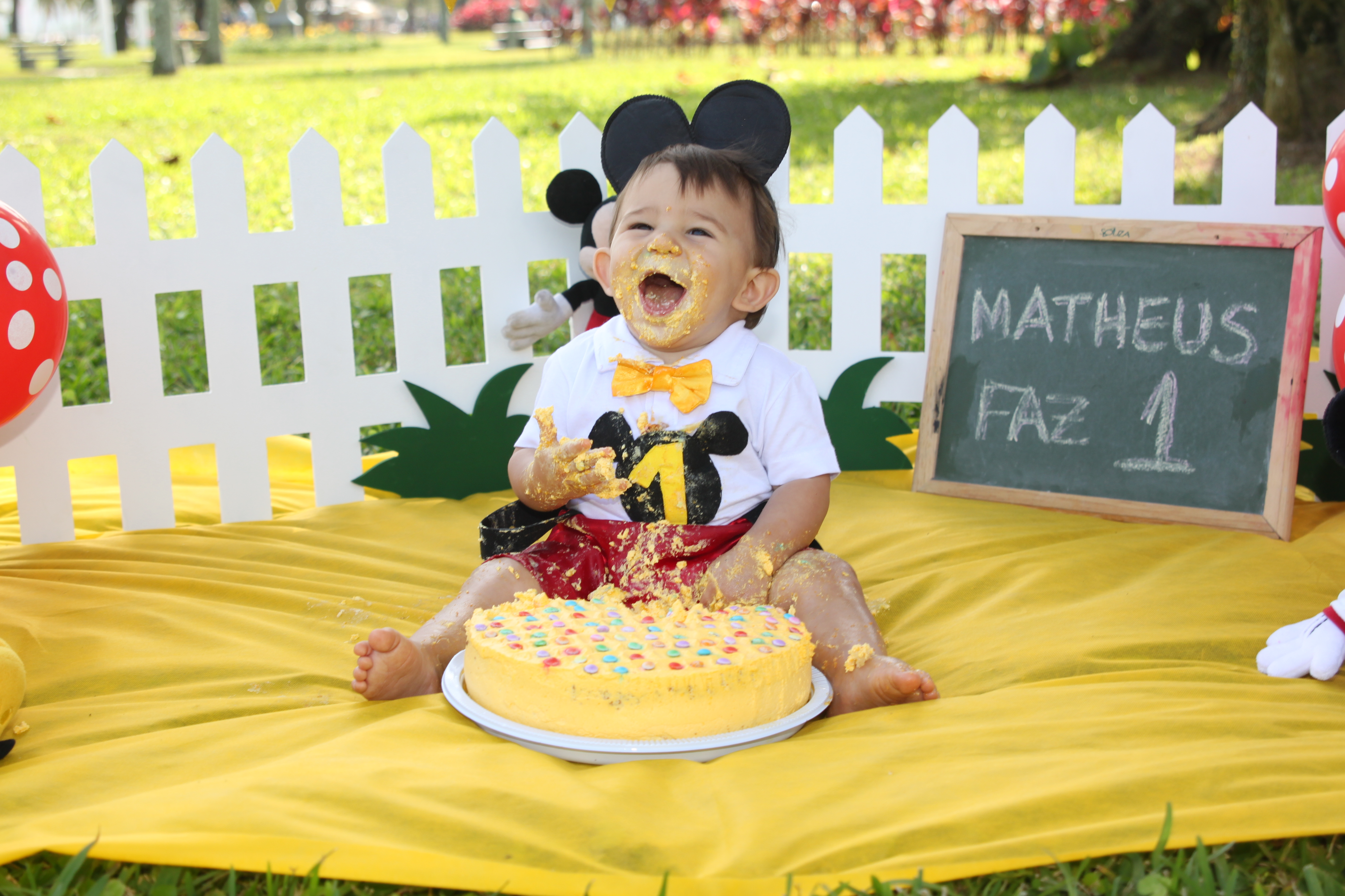 SMASH THE CAKE