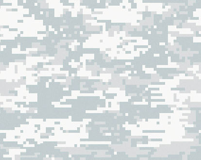 Digital-Camo[1].jpg