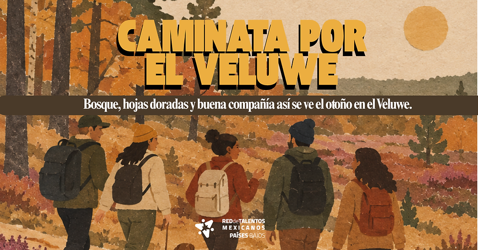 Caminata otoñal por el Veluwe