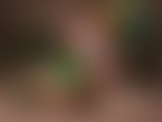 1st Birthday Cake Smash Photo shoot for Baby T