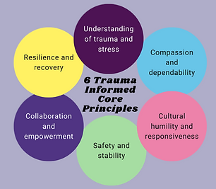 trauma-principles-1-1024x1024 (1).png