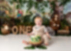Little explorer jungle themed cake smash photo shoot