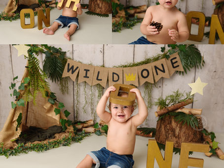'Wild One' 1st Birthday Cake Smash