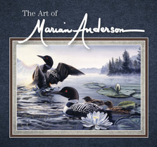 Anderson book cover.jpg