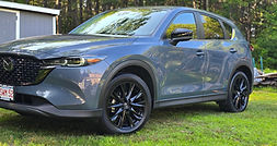 shared image (86).jpg