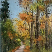 Autumn on the boardwalk, Oak Park, Carlow