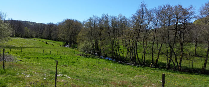 Un week end à la découverte du Cantal