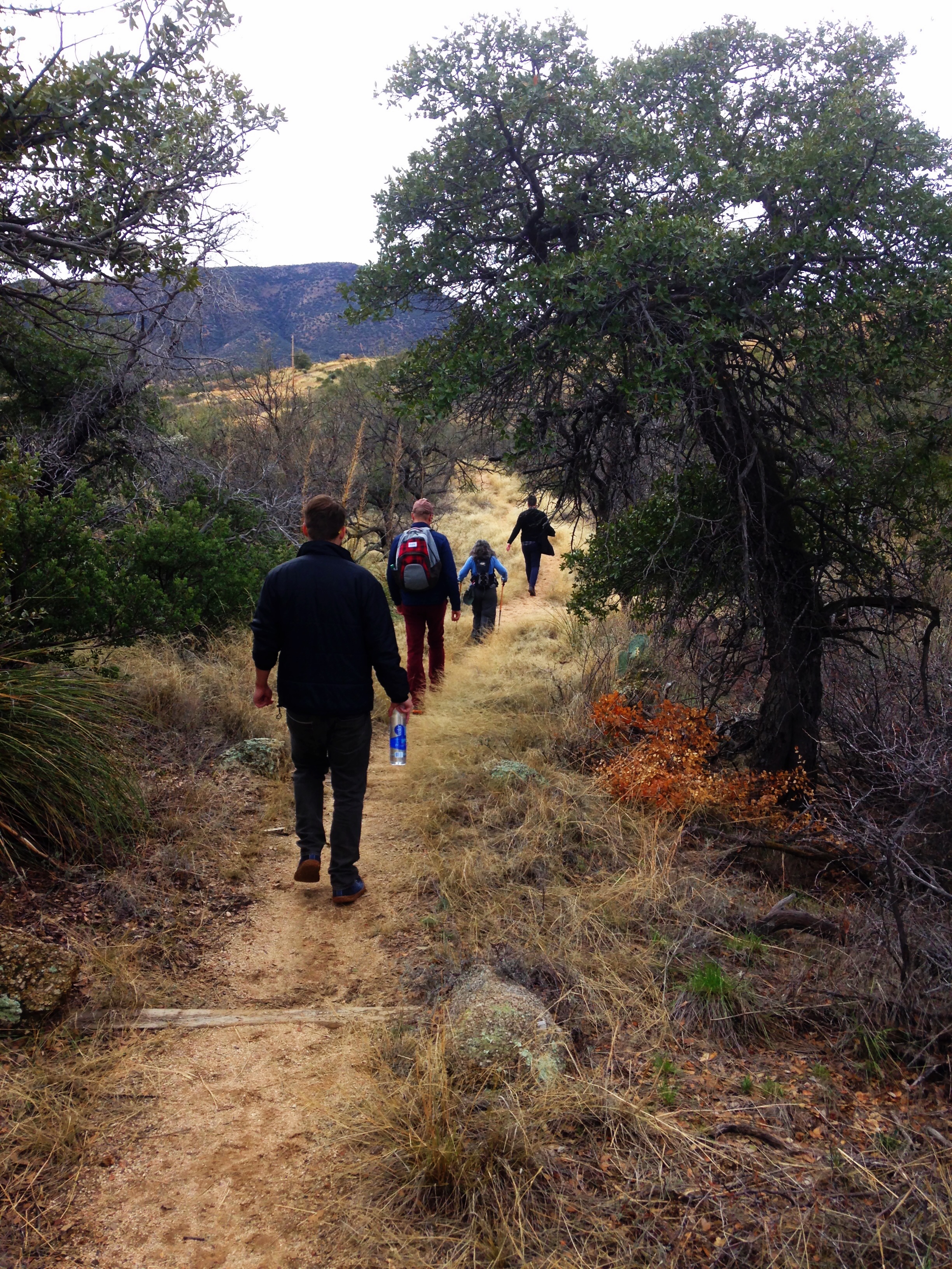 About Oracle Oracle, Arizona Triangle L Ranch