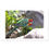 Thumbnail: Eastern Rosella Feeding between the Rocks