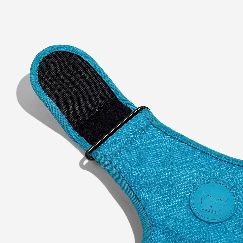 Miniatura: Harness Mesh - ULTIMATE BLUE