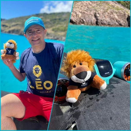 LÉO AROUND THE WORLD à St Barth 🌍🦁❤