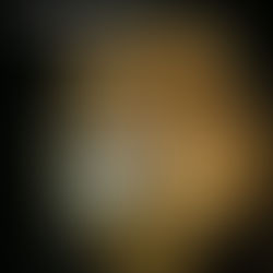 Nous soutenons Ibragim🦁💪❤️