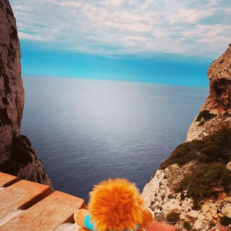Léo around the world en Sardaigne 🦁♥️