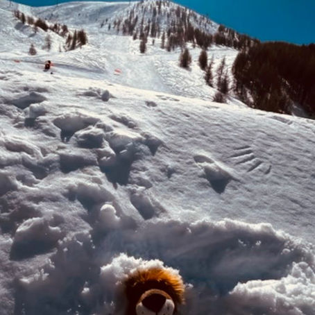 LÉO AROUND THE WORLD à la montagne