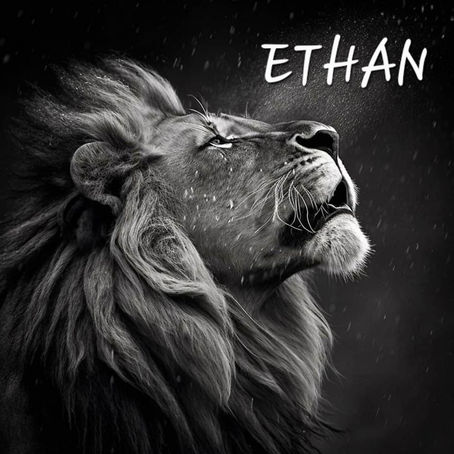 Nous soutenons Ethan