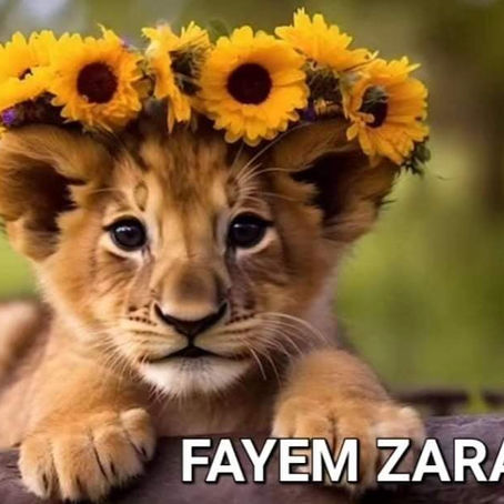 Nous soutenons Fatem-Zarah 🦁😍