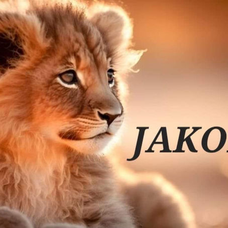 Nous soutenons Jakob 🦁