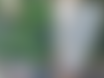 Protections hivernales