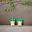 Thumbnail: The Little Plants Dangle Earrings