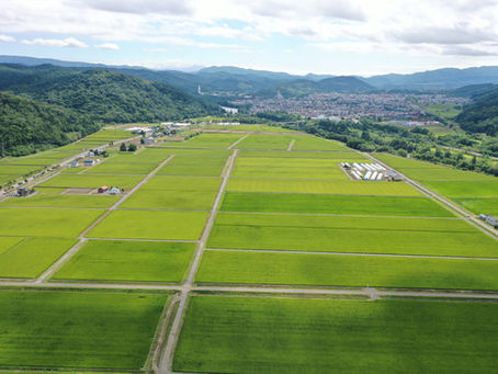 お米が出来る豆知識編