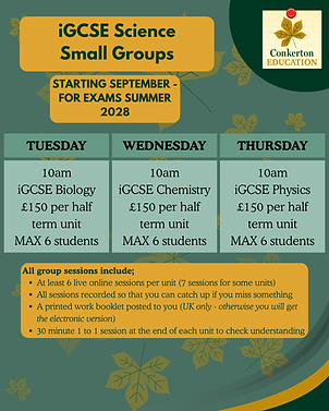 Conkerton Education Example iGCSE Group Lesson Information and Pricing