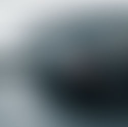 The Iconic Mitsubishi Evo: A Look at the History and Performance of This Legendary Vehicle