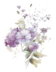 fiori1.png
