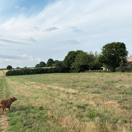 Nine Years On: Lessons the Ring Couldn’t Teach Me 👩🏫