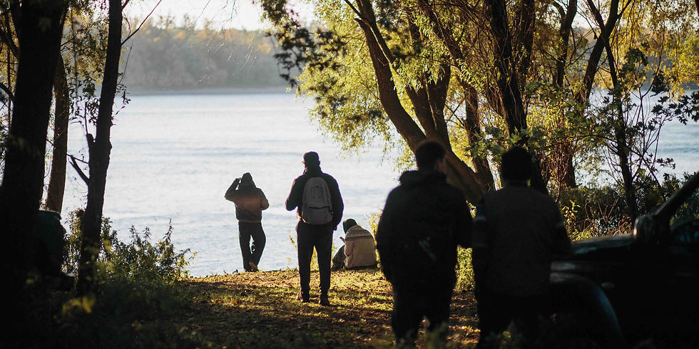 Wild Wisdom Ways Course 2026