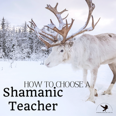 How to choose a Shamanic teacher?