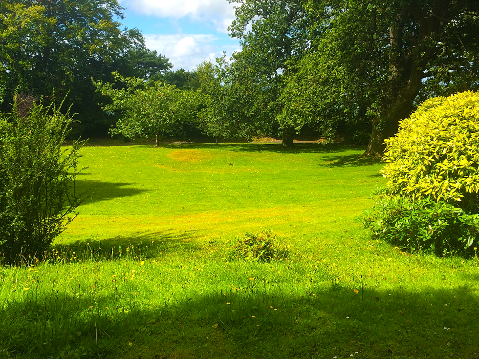 Park-land