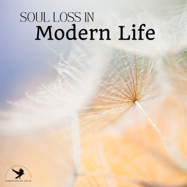 dandelion close-up with pastel colours