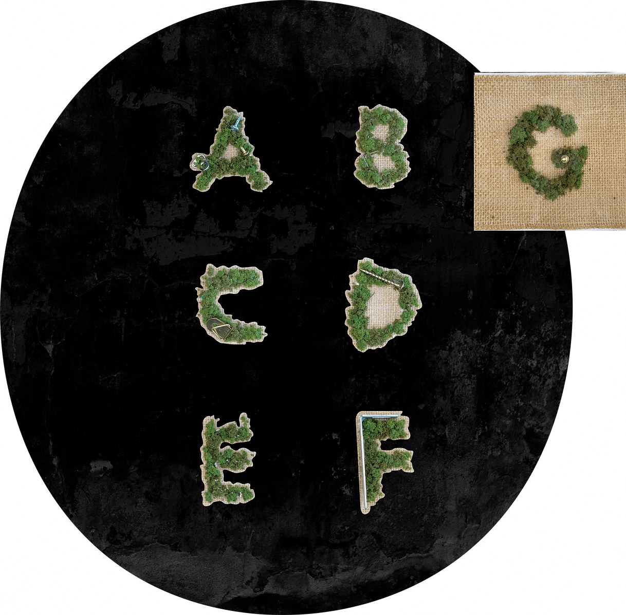 TYPE Project 1_edited_edited_edited.png