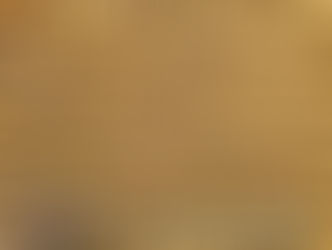 Lovage - Ajwain Seeds organic herb natural vegan plant tea